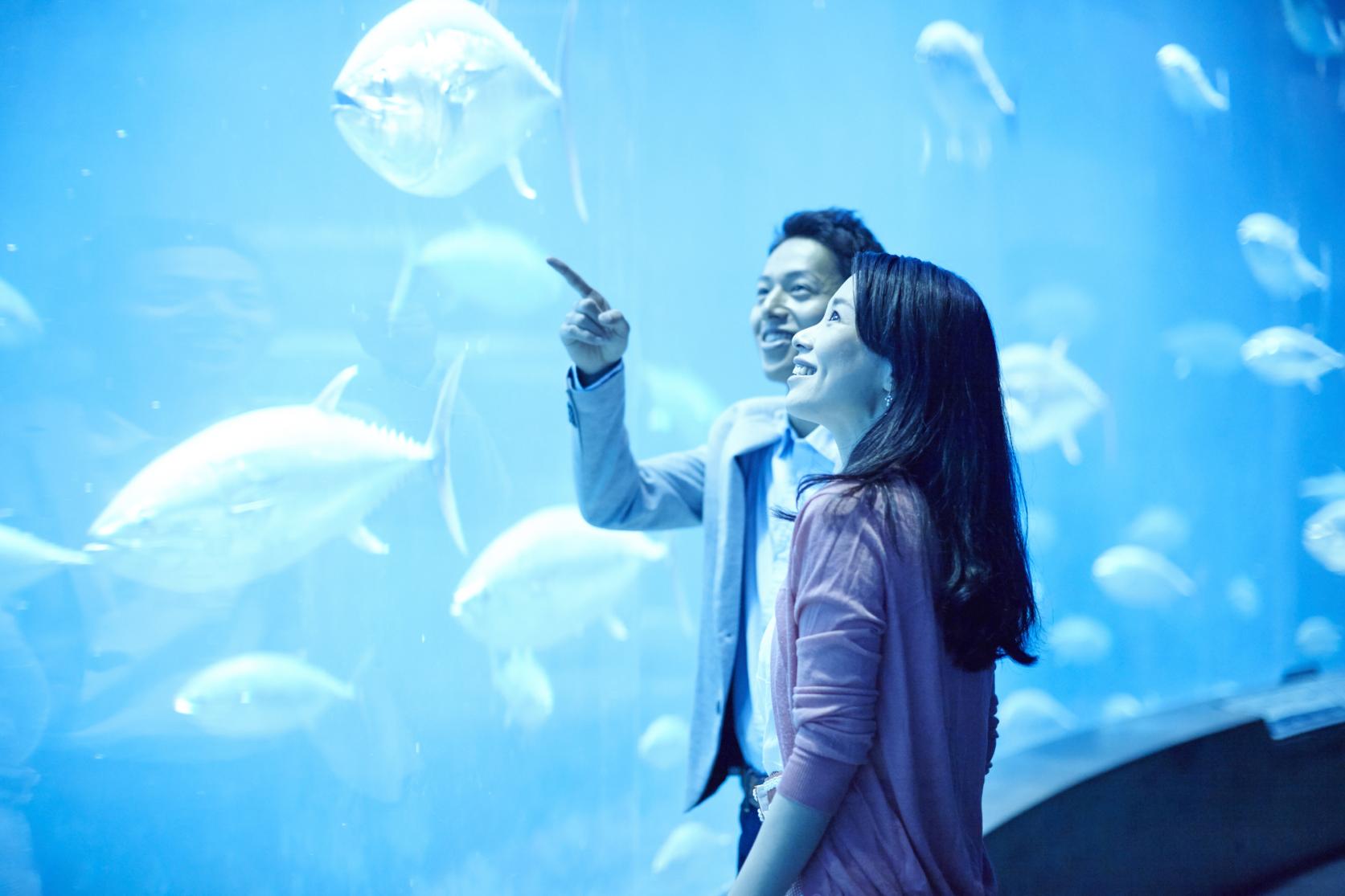 Enjoy Fukuoka, Rain or Shine: Indoor Spots in the City for a Fun Outing