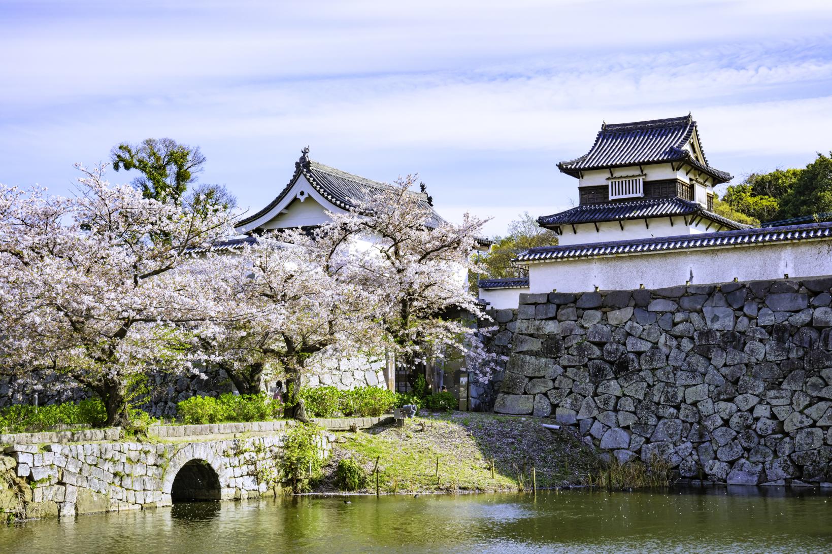 Exploring famous places in Japan and Korea ! A grand 8-day, 7-night East Asian Adventure